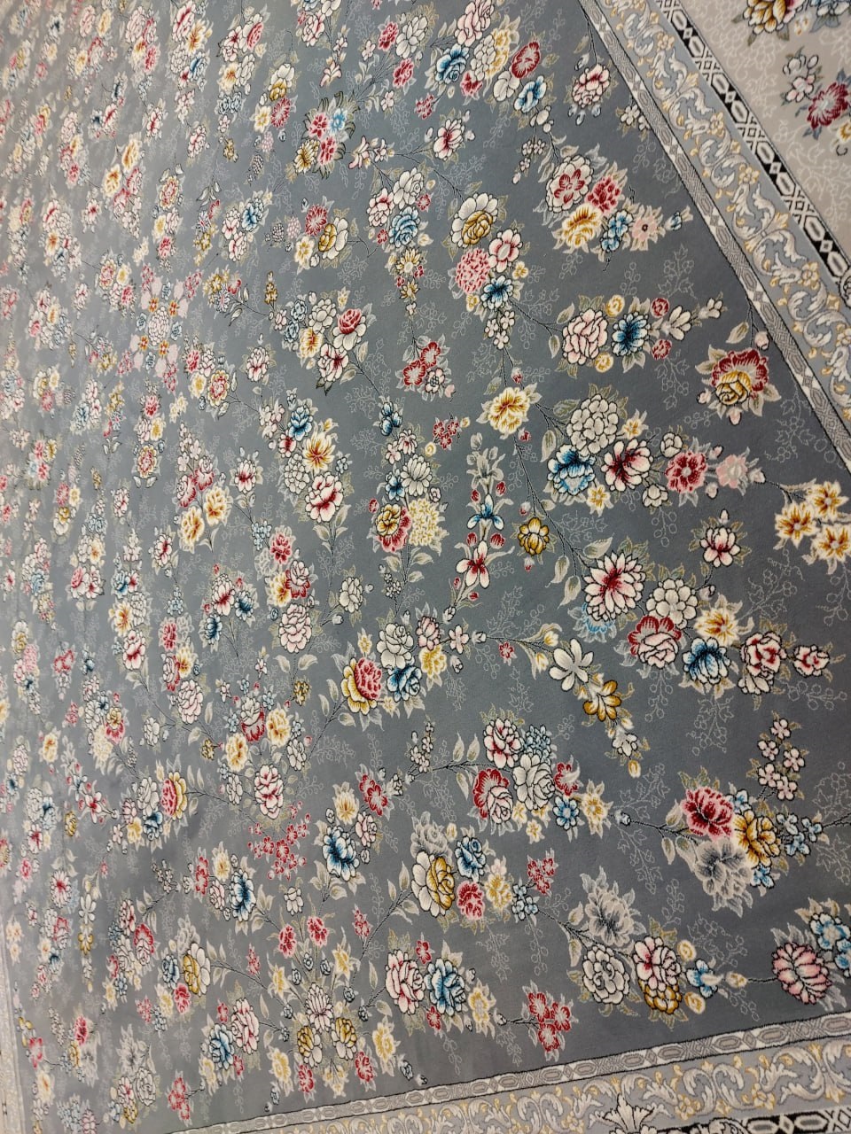 ژینوس دودی